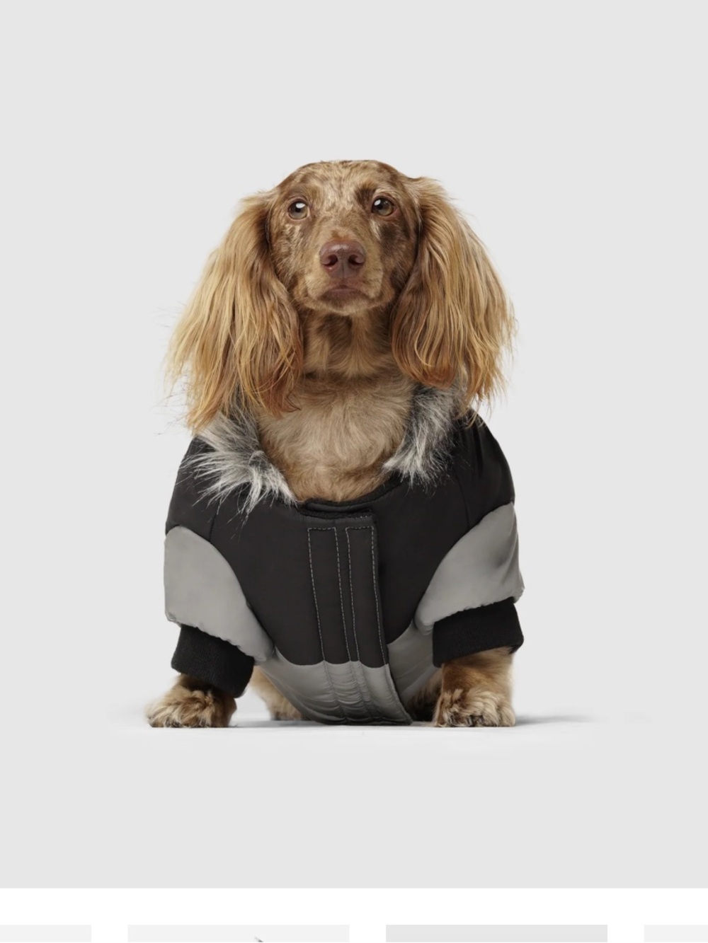 Canada Pooch Gray and Black Dog Jacket